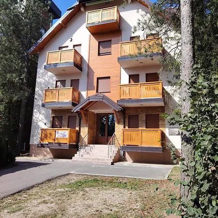 Andjela12